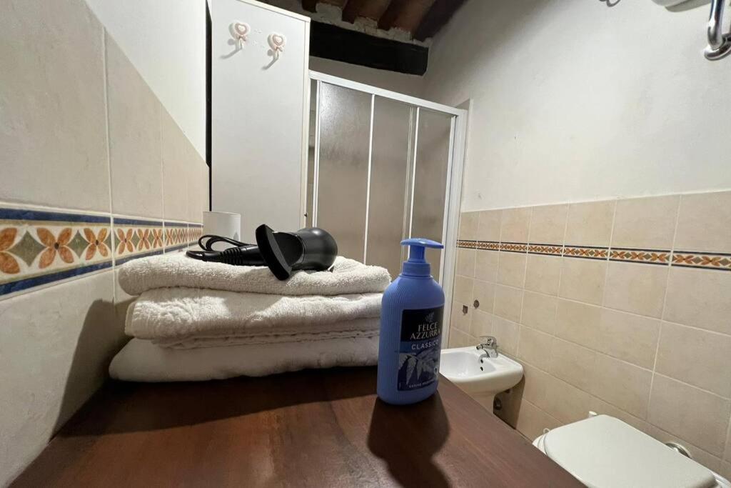 L'Angolo Del Barbacane Terricciola Dış mekan fotoğraf